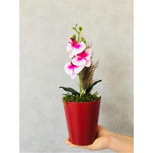 Orkide Yapay Çiçek, 38 Cm, Pembe-Beyaz, Saksıda