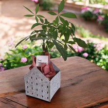Dekoratif Keçe Saksı ve Organizer Sepet – Gri, 20X20X25 Cm, 3 mm Kalınlıkta Çok Amaçlı Keç