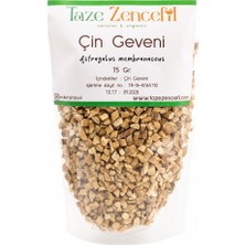 Taze Zencefil Çin Geveni