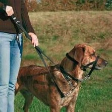 Trixie Uzman Köpek Eğitim Tasması L 31Cm