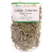 Taze Zencefil Çoban Çökerten