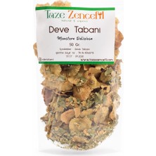 Taze Zencefil Deve Tabanı