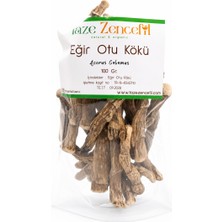 Taze Zencefil Eğir Otu Kökü