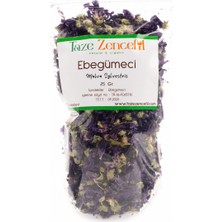 Taze Zencefil Ebegümeci