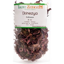 Taze Zencefil Ekinezya