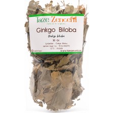 Taze Zencefil Ginkgo Biloba