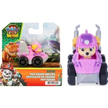 Paw Patrol The Dino Movie Pup Squad Yarışçıları  - Skye
