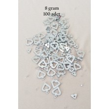 Kuzgun Ticaret Oya Abiye Bileklik Kolye Pleksi Metalik Plastik Pul Gümüş Renk 8 Gram 100 Adet - BNC511