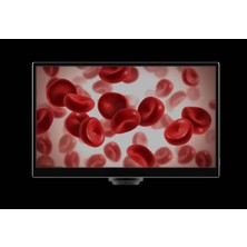 EUAS YW5612 11.6 Inç Hepsi Bir Arada Mikroskop Kamerası - 5mp 1080P@60FPS HDMI & USB Entegre Monitörlü Dijital Mikroskop Ekranı