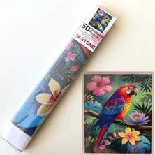 NT Boncuklu Taşlı Pano Mozaik Elmas Goblen Çocuklar Için Diamond Tablo 50 x 65 cm Papağan