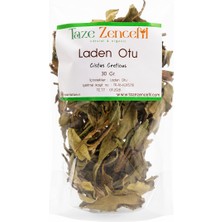 Taze Zencefil Laden Otu