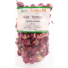 Taze Zencefil Kızıl Yonca