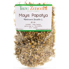 Taze Zencefil Mayıs Papatya