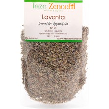 Taze Zencefil Lavanta