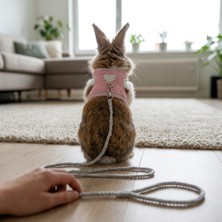 Lady Fify Tavşan ve Ginepig Için Kalpli Pembe Simli Gezdirme Kayışlı Göğüs Tasması
