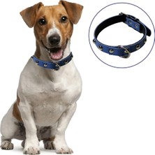 Hepsi Uygunn Yumuşak Dokulu Deri Köpek Gezdirme Boyun Tasması (Large)