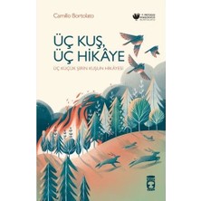 Üç Kuş Üç Hikaye Camillo Bortolato Timaş Çocuk