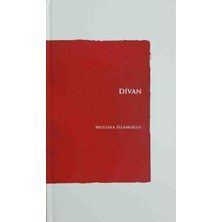 Düşün Yayıncılık Divan - Ciltli - Özel Koleksiyon Baskı - Mustafa Islamoğlu