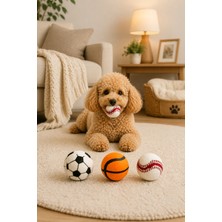 Arbolos 3'lü Tenis Topu Köpek Oyuncağı - Top Desenli Köpek Oyuncağı
