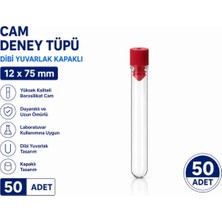 Labolist 12X75 mm Cam Deney Tüpü Dibi Yuvarlak Kapaklı 50 Adet Laboratuvar Test Tüpü