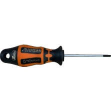 Retta Delikli Tork TornavidaT25*115 mm RXT1025