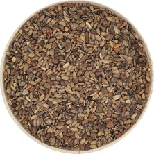 Nk Organik Deve Dikeni Tohumu 1kg