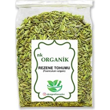 Nk Organik Rezene Tohum (Foeniculum Vulgare) 100GR