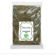 Nk Organik Kayışkıran Otu (Ononis Spinosa) 50GR