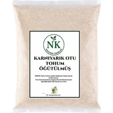 Nk Organik Karnıyarık Tohumu Toz (Psyllium Husk) 50GR