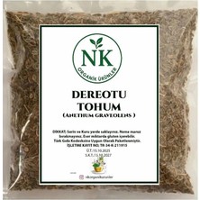 Nk Organik Dereotu Tohumu (Anethum Graveolens) 25GR