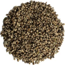 Nk Organik Hayıt Tohumu 1kg