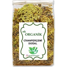 Nk Organik Civanperçemi (Achillie Millefolium L.) 75GR