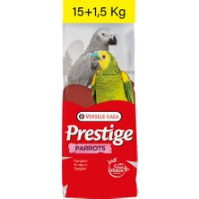 Versele-Laga Concepta Versele Laga Parrots (Papağan) Yemi 16,5 Kg.