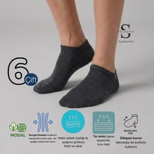 Socketta 6'lı Antrasit Melanj Erkek Modal Dikişsiz Esnek Patik Çorap - Premium