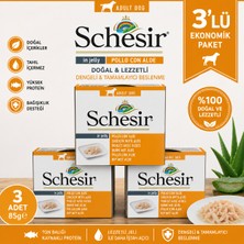Schesir Tavuk Filetolu ve Aloe Veralı Jöleli Yetişkin Köpek Konserve Yaş Mama 3 x 150 gr
