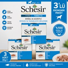 Schesir Ton Balığı Filetolu Jöleli Yetişkin Köpek Konserve Yaş Mama 3 x 150 gr
