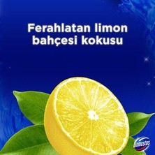 TeknoKapsül Yoğun Parfümlü Limon Bahçesi ile Wc Blok Ürünü