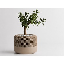 TeknoKapsül 3D Baskı Modern File Desenli Dekoratif Saksı - Minimal Çiçek Saksısı, Ev ve Ofis Bitki Saksısı-Bej