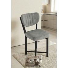 TeknoKapsül Sandalye 1 Adet Baby Face Kumaş Metal Modern Mutfak Sandalyesi Cafe Balkon Ofis Elma 9814 Gri