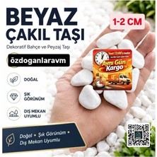 Dogant Beyaz Dolomit Taş 2 kg 1-2 cm Dere Çakıl Taşı Bahçe Peyzaj Süs Taşı Saksı Teraryum Akvaryum Taş