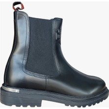 TeknoKapsül Harley Davidson Falco