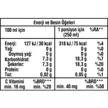 TeknoKapsül Fanta Portakal Aromalı Pet 4x1 L