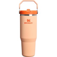 TeknoKapsül Stanley Iceflow Flip Straw Tumbler Pipetli Termos Su Şişesi 0.89 Litre - Orange Sherbet | Paslanmaz Çelik