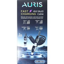 Belirtilmemiş Auris 4 In 1 Multi Çoklu Hızlı Şarj Kablosu Typ-C Typ-C Lightning 30W 240W