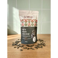 SaltYaşam Kabak Çekirdeği Içi 300GR (Avusturya Menşeli Çekirdek)