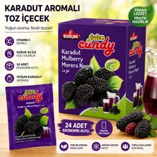 TeknoKapsül 24’lü Karadut Aromalı Toz Içecek Vitamin C Içerikli Pratik Tek Kullanımlık Soğuk Içecek Tozu