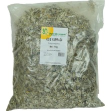 TeknoKapsül Iğde Yaprağı Doğal 1000 gr Paket