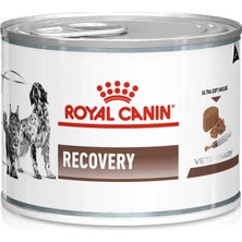 TeknoKapsül Recovery Kedi & Köpek Sı 195GR Kedi ve Köpekler Için Beslenme Desteği