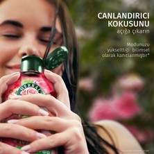 TeknoKapsül Ipeksi Yumuşaklık Sağlayan Gül Kokulu Saç Kremi, 250 ml