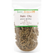 Taze Zencefil Pelin Otu